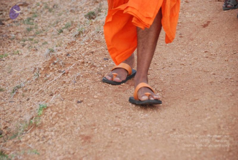 File:20090805 Photo 1159 1OQ0qF7GRaUILo00KmVUdBh6GpVME2JIR.JPG