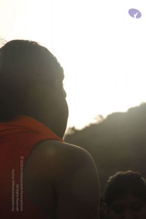 20090805 Photo 1211 1T2m14qRf4ODBUM3bQn40Un2YhaaeLyN8.JPG