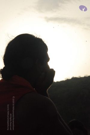 20090805 Photo 1214 1yUr21O4PEmLnB6GxZsu94BeYP4oSLmra.JPG