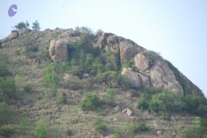 20090805 Photo 1219 1mMOR7o0ekJbNlaiCvCIrIs17YLkqn1Qo.JPG