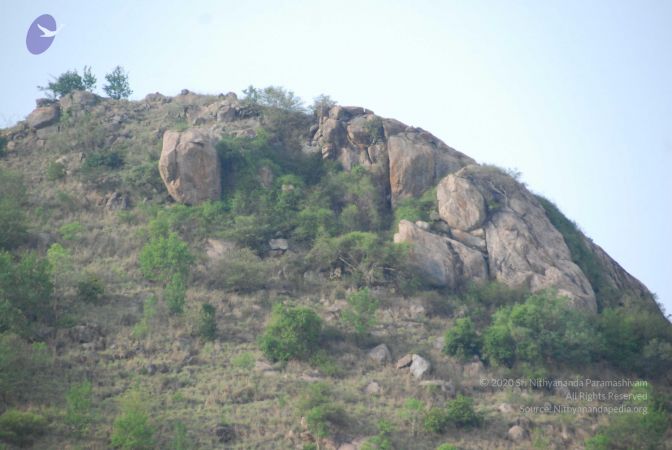 20090805 Photo 1219 1mMOR7o0ekJbNlaiCvCIrIs17YLkqn1Qo.JPG