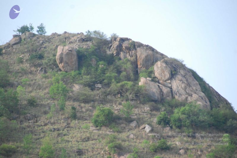 File:20090805 Photo 1219 1mMOR7o0ekJbNlaiCvCIrIs17YLkqn1Qo.JPG