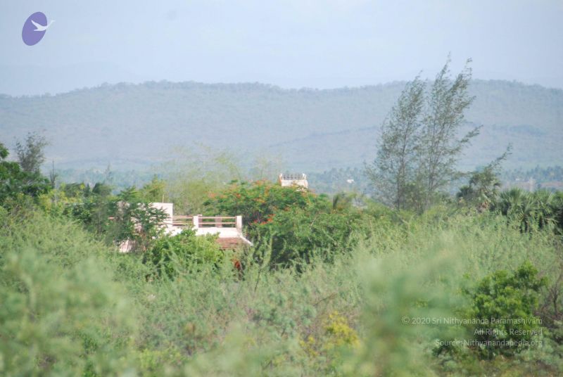 File:20090805 Photo 1228 1QKRubDwQ1hcW0r-ZndJZsg4DF x8OMs6.JPG