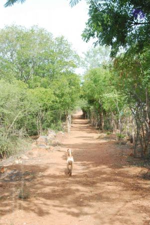 20090805 Photo 1286 122vPz6lspEBa7X6iEmP0obKmf9B6joyD.JPG