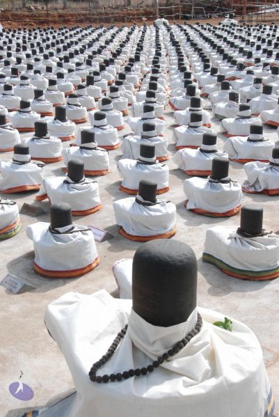 File:20090805 Photo 1296 1MR0UZpkY6PHIMMxIft7ElPfI9hMYkzDN.JPG