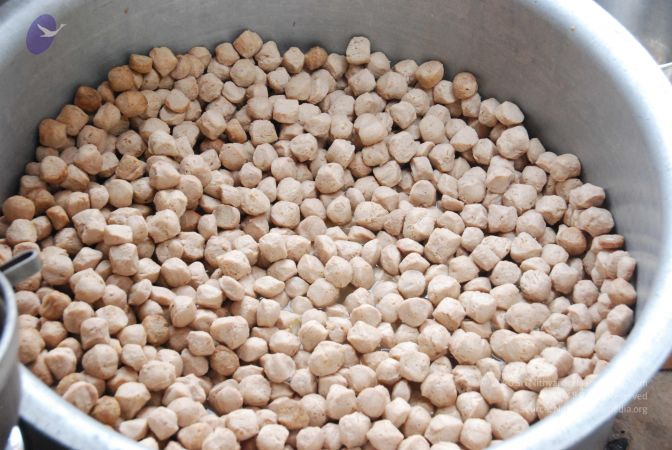 20090805 Photo 1396 1CsW7JiIYzttOfPSCOZ 1YZUEgi pq2mt.JPG