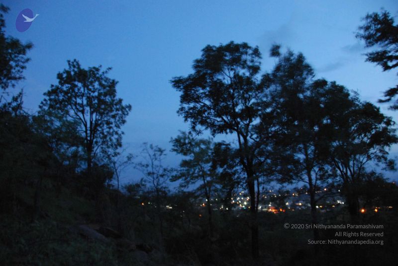 File:20090805 Photo 1445 1JRAOJ9DnImMjhD zaNVNMRy4jvPyFMwi.JPG