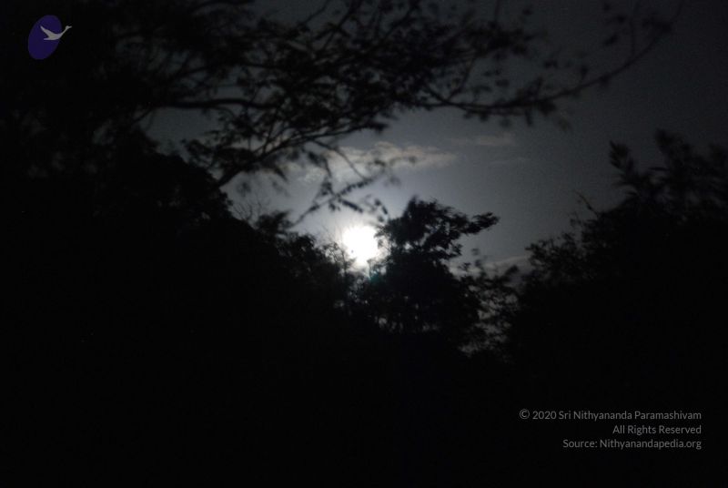 File:20090805 Photo 1452 1-Ofvu2J86z7lXV6EPFIGiad3pmiUUCQj.JPG