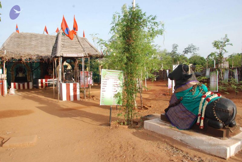 File:20090806 Photo 1005 1Uzv-v4fIALvED-u 5ZVpTVTsA5V6z Gw.JPG