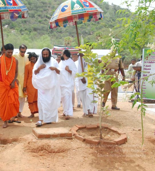 File:20090806 Photo 1034 1iZrf tQoEh4a5BpEGDhTs2IJT611GVJB.JPG