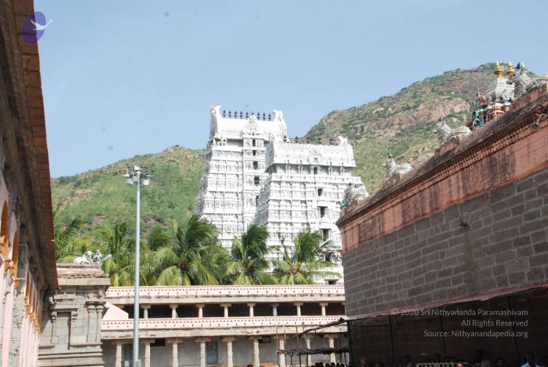 File:20090806 Photo 1088 1L57ZcvDuVgu gxpUjpsc42fVGD2hXvOa.JPG