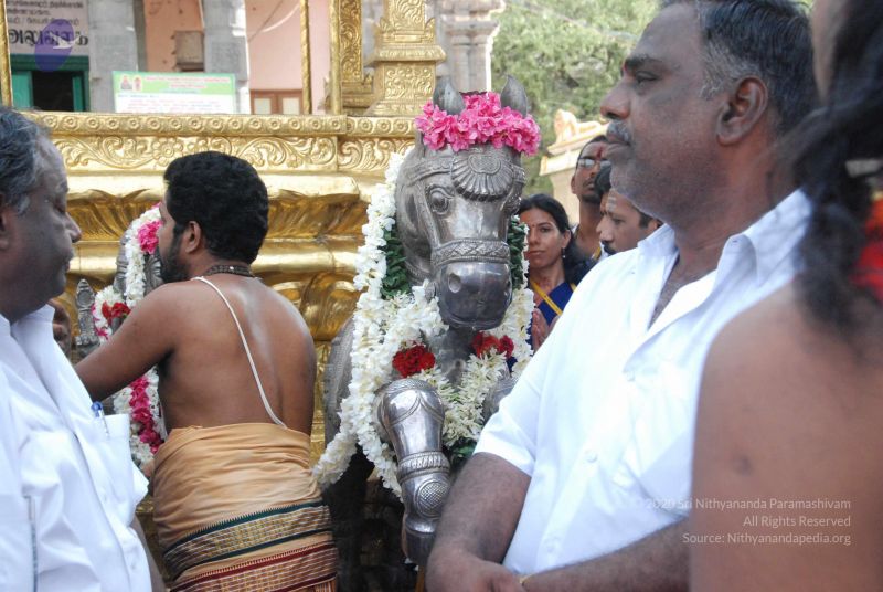 File:20090806 Photo 1127 1CEi9NwKLGGpRu5wGefP6Q8Yh5S5kMWss.JPG