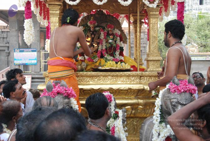 20090806 Photo 1150 1n3jFGAZs-wyrrpxV3RwYYewWyiIQWhyE.JPG