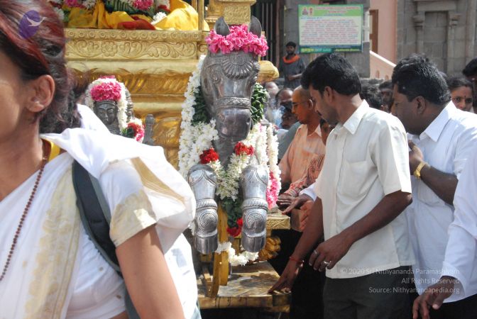 20090806 Photo 1258 1kxmtcE9lHUHrIjBIRKeAhnEBRdE7sco3.JPG