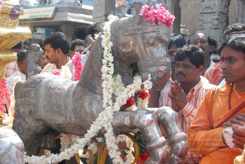 File:20090806 Photo 1268 11tQxO4lDRqm3XbCbTaiZDJ6MNUDXJFPO.JPG