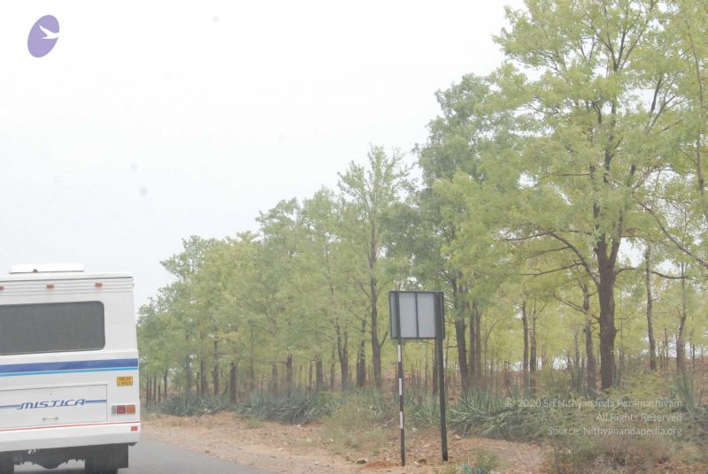 File:20090806 Photo 1517 1wLL 6 M0qxLwVtnrjCFNeNeUa8GLeigb.JPG