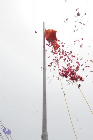 20090806 Photo 1528 1d swTY-4iOHtaQd0NDdx8jRdgNbf Vwd.JPG