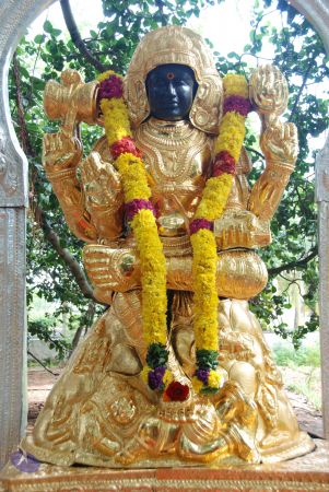 20090808 Photo 1109 125z5janPxLNlI6K3kDzatSH82y89AfA2.JPG