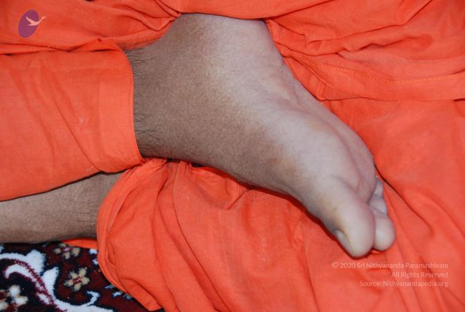 20090808 Photo 1127 1bI4ZUYrY fj6gaViCBZ3qiWnQww4Bx9 .JPG