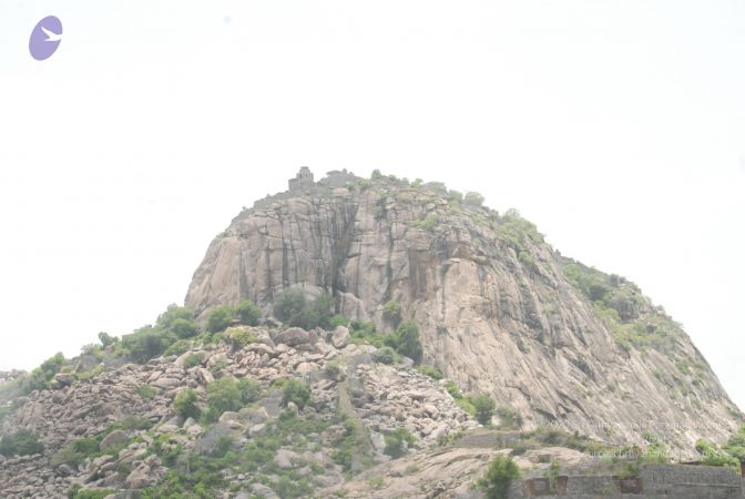 20090808 Photo 1298 1srGynO-WoqWQHsYjBgaoNj-~mzp5z5f.JPG