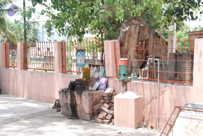 20090808 Photo 1321 1IiXlyJ6AprQcEobedrSjehu-pNgJBRni.JPG