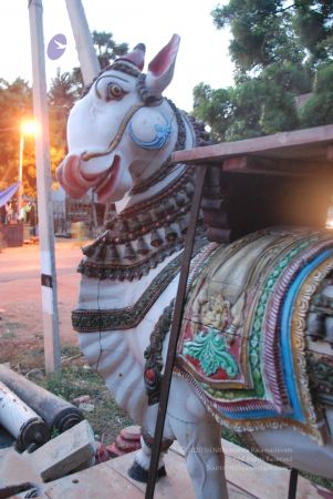 20090808 Photo 1490 1IukV8lCMopfV9F ijIiwulNGXkKpHZwz.JPG