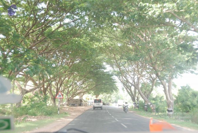 20090811 Photo 1004 1EKmC7CtFS8C 52d-WxoarQD Kb7beOC9.JPG