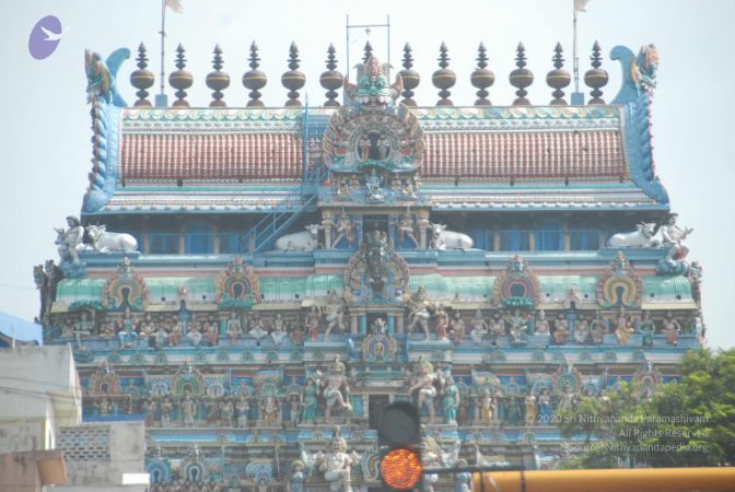 20090811 Photo 1011 12se4KT47P9FXlIPZ7 eBsa4eF892RBnB.JPG