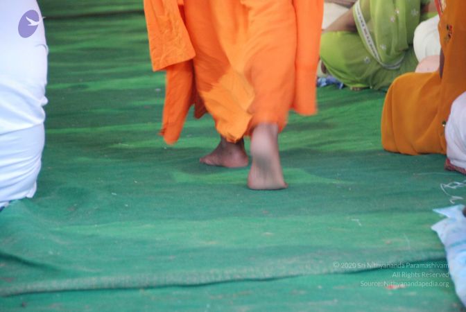 20090811 Photo 1684 1hIlVbYBgpL20Wd3YUHeHk9ccxiNpIjQr.JPG