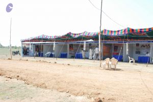 20090813 Photo 1113 1tUP45b5AKYOrlepnessYUUQD19PzNtCF.JPG