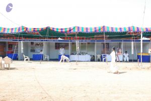 20090813 Photo 1114 1US5cQMnasJ1P42k93bEE14EXLo0MnL2Z.JPG