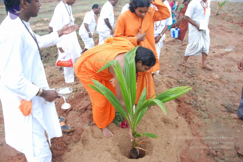 File:20090816 Photo 1924 1IoXMemLGwuqbBUsD0Coo2f25F kS8VJy.JPG