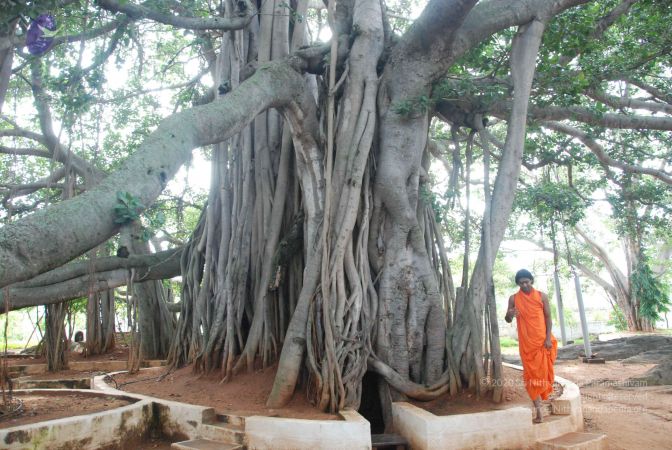 20090817 Photo 1027 1lPrkkJujHwgkkjfBSd6ZRibaTxpVqUnt.JPG