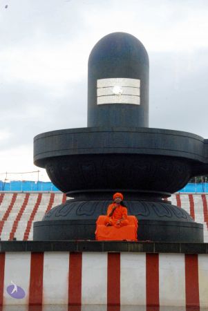 20090822DSC 0069 CMP WM001.jpg