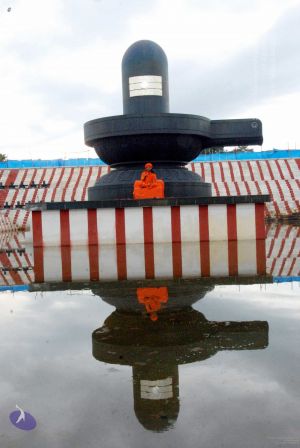 20090822DSC 0070 CMP WM001.jpg