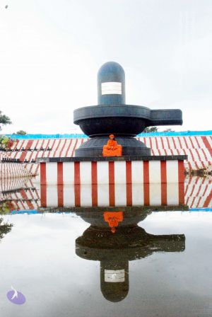 20090822DSC 0078 CMP WM001.jpg