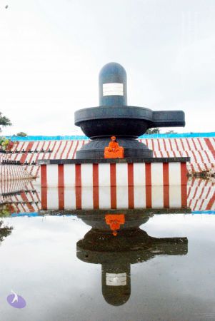 20090822DSC 0078 CMP WM001.jpg