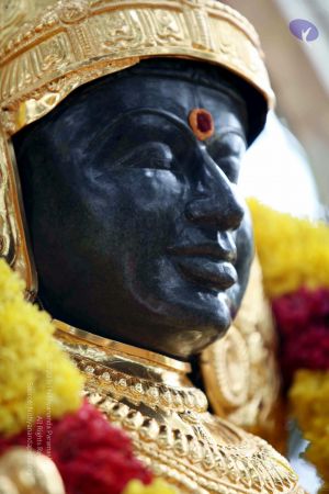 20090822IMG 6143 CMP WM001.jpg