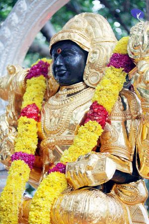 20090822IMG 6145 CMP WM001.jpg