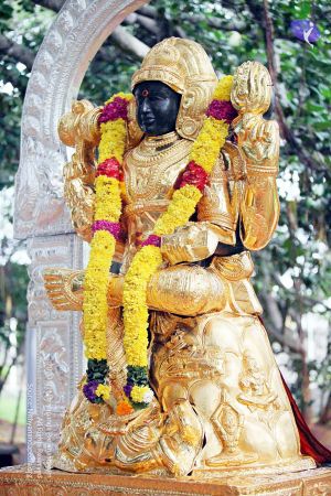 20090822IMG 6147 CMP WM001.jpg