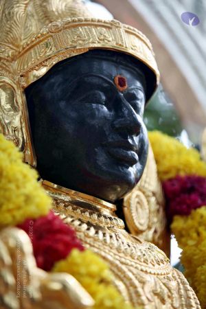 20090822IMG 6150 CMP WM001.jpg