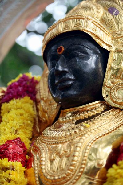 File:20090822IMG 6152 CMP WM001.jpg