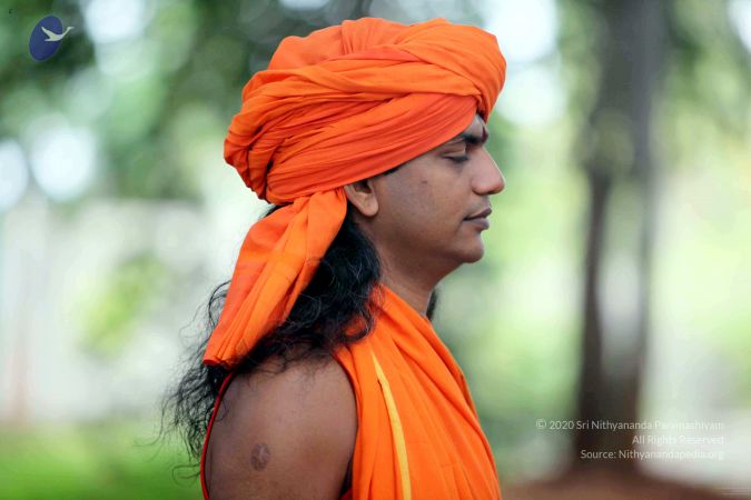 20090822IMG 6186 CMP WM001.jpg