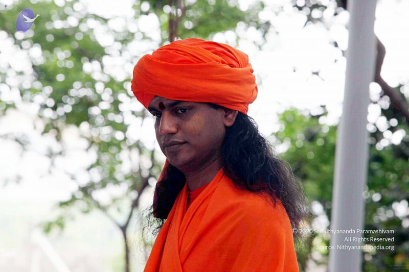 File:20090822IMG 6328 CMP WM001.jpg