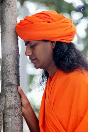 20090822IMG 6331 CMP WM001.jpg