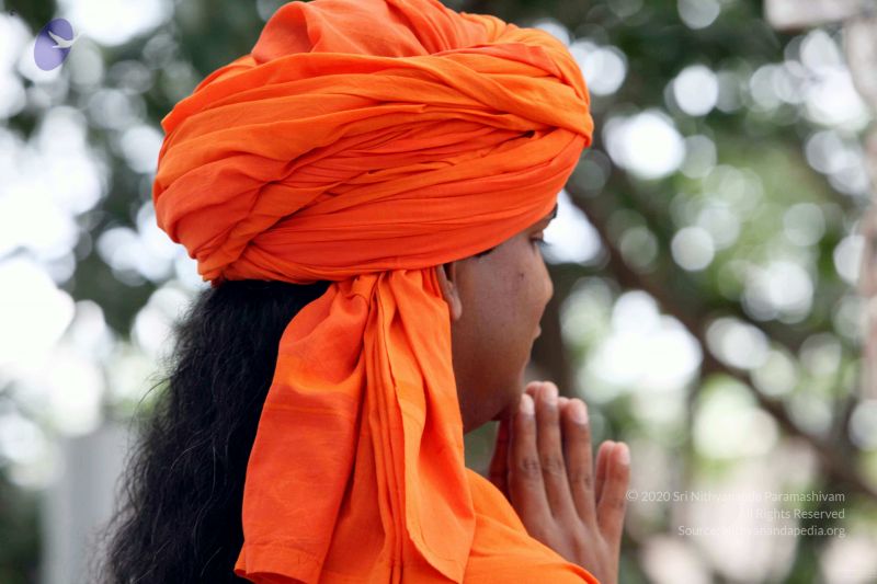 File:20090822IMG 6385 CMP WM001.jpg