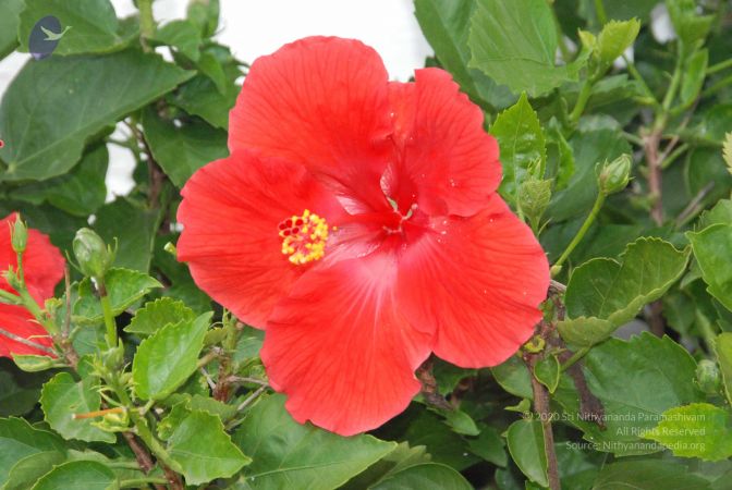 20090825 Photo 1026 1P89xHDWK85 s5OTQ7f2XonhV5wuJXPkx.JPG