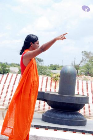 20090827 DSC 0303 CMP WM 11.jpg