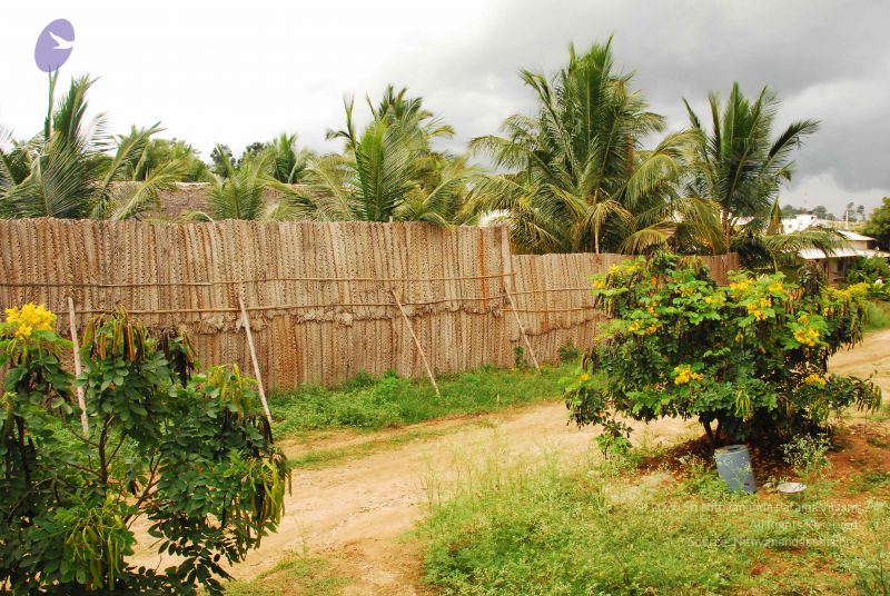 File:20090902 Photo 1078 1X nqDx7BIgCOYlpyadoC5nEgArVTKd0F.JPG