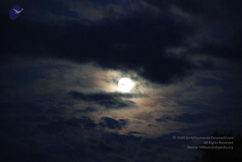 File:20090904 Photo 1021 1bLDcfftX0pCjAHcO4rRF 5i767uQXiOV.JPG